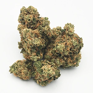 Placeholder for Page 10