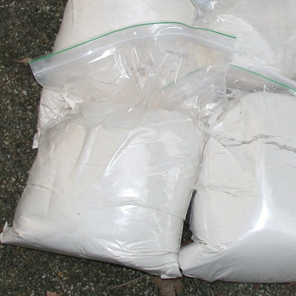 Lyophilized Powder Vials