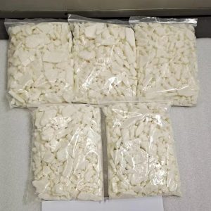 Lyophilized Powder Vials