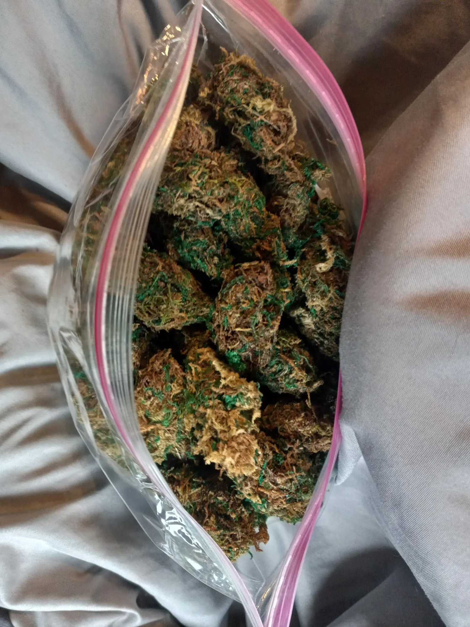 Placeholder for Page 1